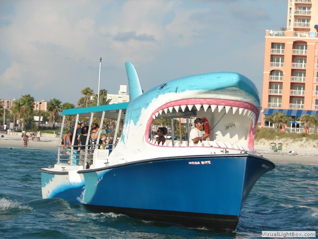 shark tours clearwater fl
